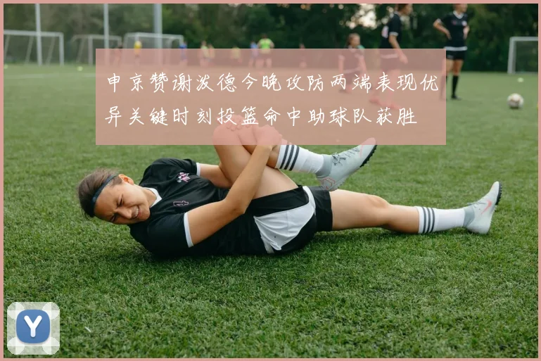 申京赞谢泼德今晚攻防两端表现优异关键时刻投篮命中助球队获胜
