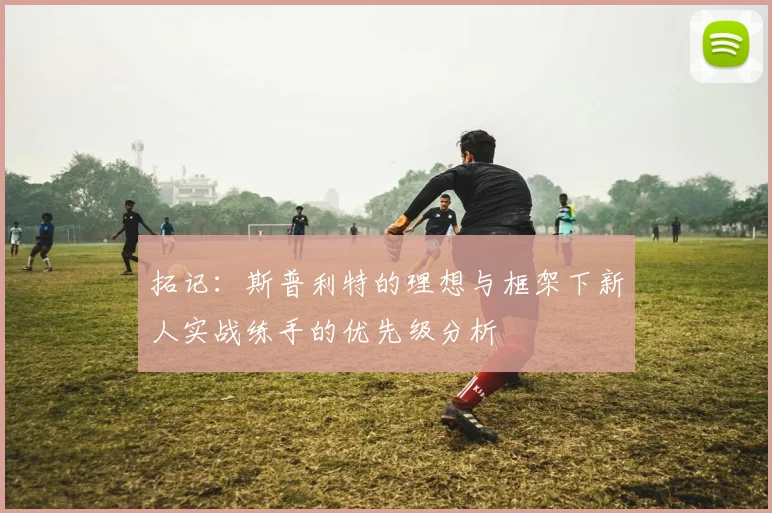 拓记：斯普利特的理想与框架下新人实战练手的优先级分析
